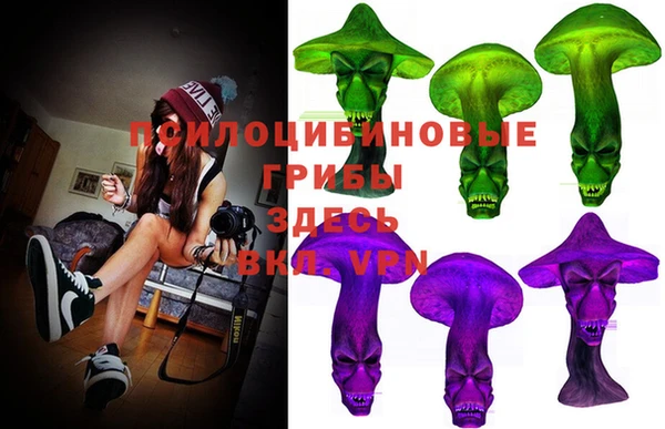 МДПВ Киреевск